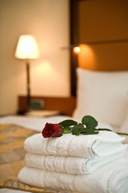Apart Hotel Premier Podgorica Room photo